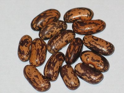 Superbean-Ringwood.jpg Superbean-Ringwood.jpg