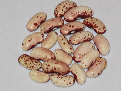 Eden Prairie.jpg Eden Prairie.jpg