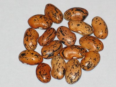 Illinois Wild Goose.jpg Illinois Wild Goose.jpg