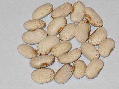 Nova Star.jpg Nova Star.jpg