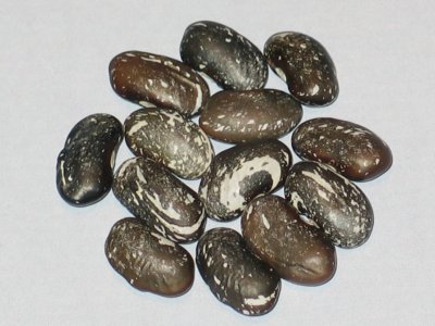 Osborne & Clyde.jpg Osborne & Clyde.jpg