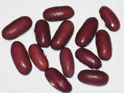 Provider #1.jpg Provider #1.jpg