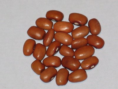 Rose Eye Pink.jpg Rose Eye Pink.jpg