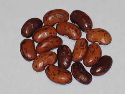 Rose D' Eyragues.jpg Rose D' Eyragues.jpg