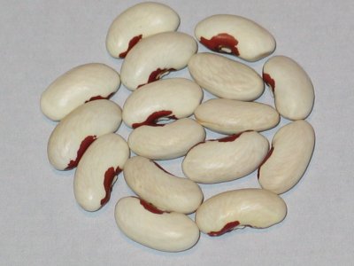 Soldier.jpg Soldier.jpg