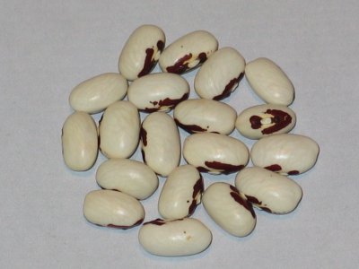 Tenderpod.jpg Tenderpod.jpg