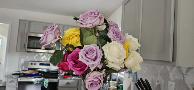 20240404_112440.jpg 20240404_112440.jpg