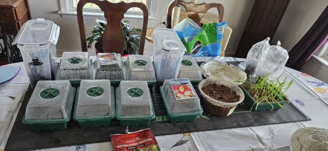 20240404_112452.jpg 20240404_112452.jpg