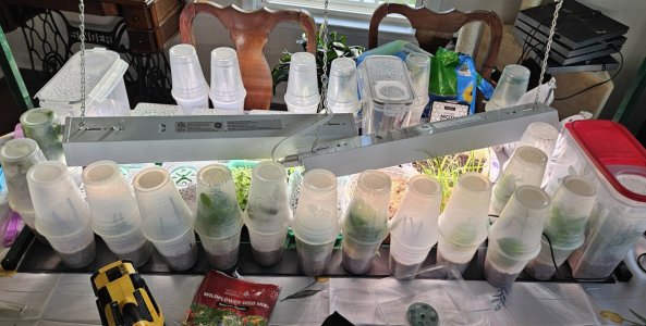 20240416_184147.jpg 20240416_184147.jpg