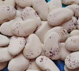 Butterfly - Lima.jpg Butterfly - Lima.jpg