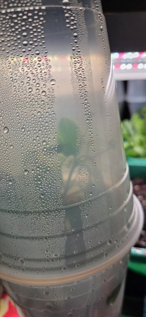 20240420_195845.jpg 20240420_195845.jpg