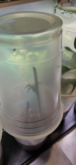 20240420_195814.jpg 20240420_195814.jpg