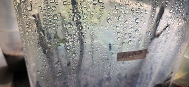 20240420_195834.jpg 20240420_195834.jpg