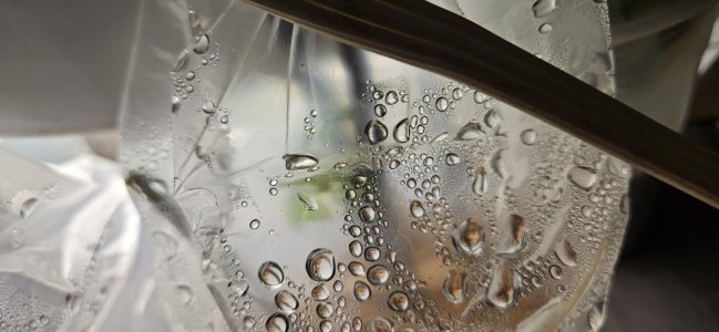 20240420_195802.jpg 20240420_195802.jpg