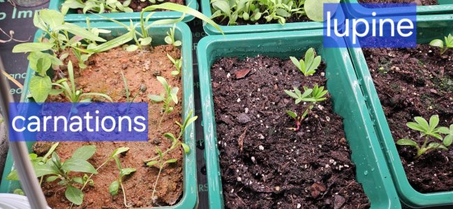 20240420_195755.jpg 20240420_195755.jpg