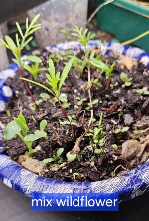 20240420_195748.jpg 20240420_195748.jpg