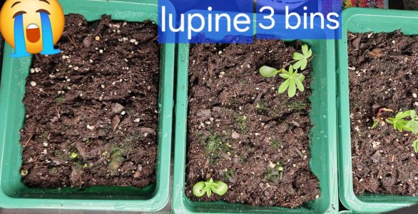 20240420_195737.jpg 20240420_195737.jpg