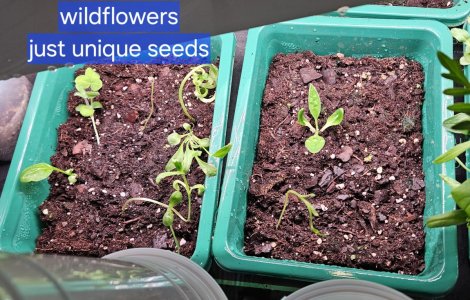 20240420_195735.jpg 20240420_195735.jpg