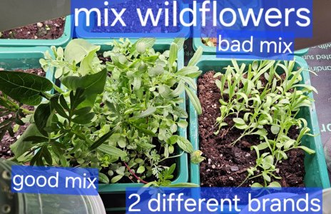 20240420_195733.jpg 20240420_195733.jpg