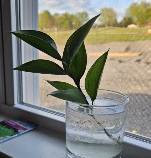 20240424_191035.jpg 20240424_191035.jpg