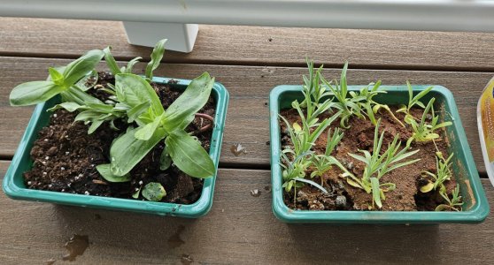 20240508_104410.jpg 20240508_104410.jpg