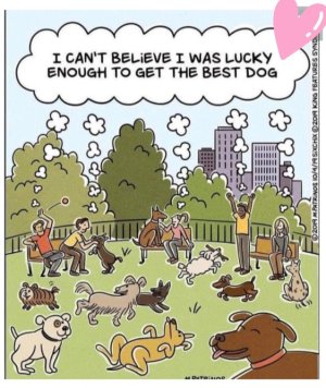 Screenshot_20240523_074511_Chrome.jpg Screenshot_20240523_074511_Chrome.jpg