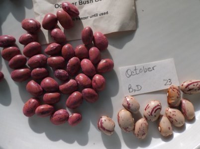 DSCF5136.JPG
