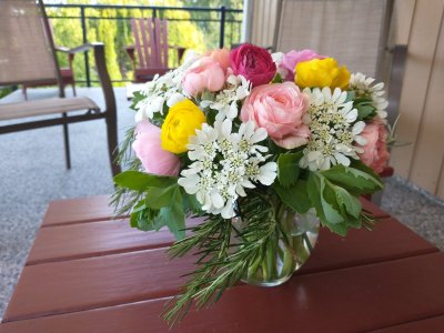 IMG_20240609_071707266.jpg