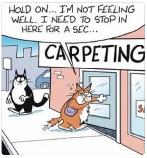 zcarpet.jpg