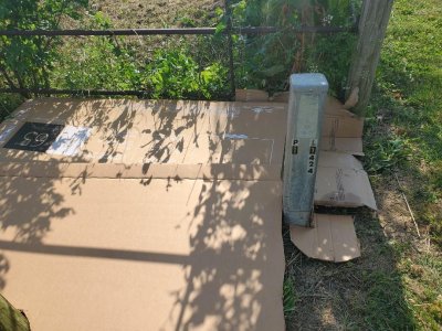 Cardboard laid down on street section 06-14-24.jpg