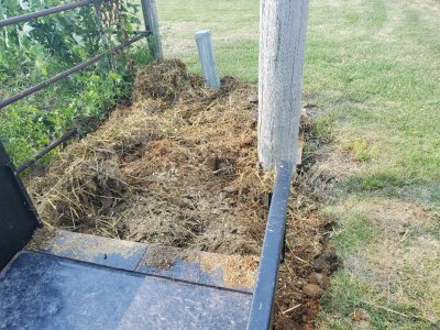 Used stall bedding dumped on top of street mowing issue, 06=14=24.jpg