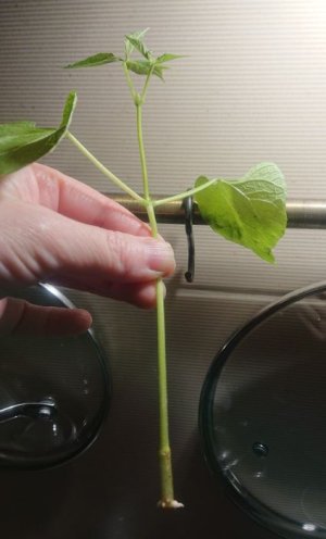 _20240607_230230.jpg