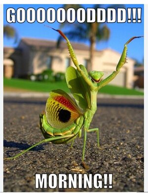 Screenshot_20240703_065104_Chrome.jpg Screenshot_20240703_065104_Chrome.jpg