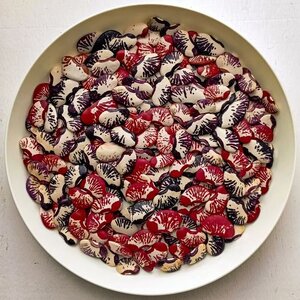 Brazilian Bean #10.jpg