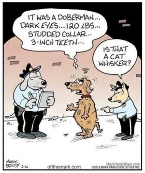 Screenshot_20240713_032302_Chrome.jpg Screenshot_20240713_032302_Chrome.jpg