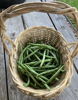 IMG_1020.jpeg IMG_1020.jpeg