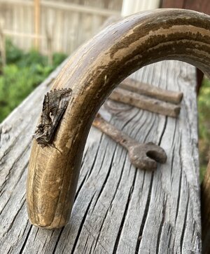 IMG_1021.jpeg IMG_1021.jpeg