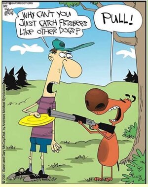 Screenshot_20240721_081515_Chrome.jpg Screenshot_20240721_081515_Chrome.jpg