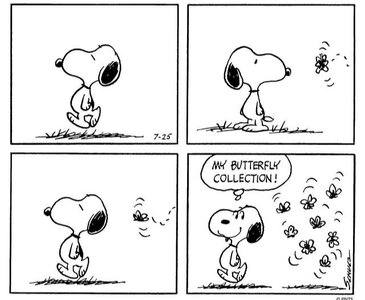 IMG_1027.jpeg IMG_1027.jpeg