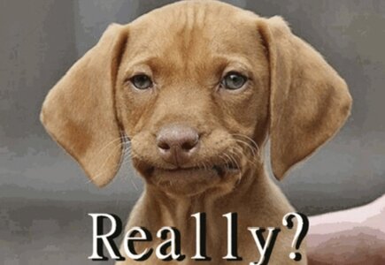 IMG_1503.jpeg IMG_1503.jpeg