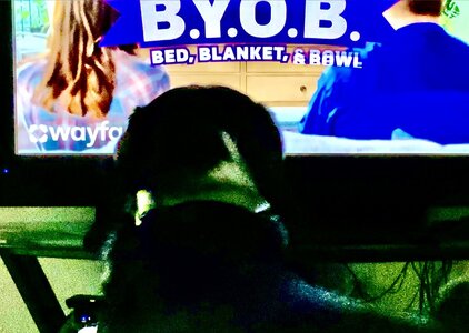 IMG_2258.jpeg IMG_2258.jpeg