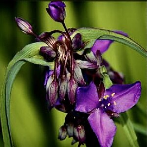 IMG_1692.jpeg IMG_1692.jpeg