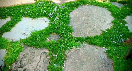 IMG_1556.jpeg IMG_1556.jpeg