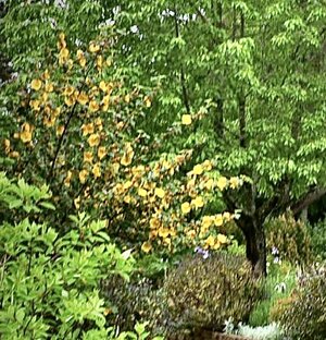 IMG_3272.jpeg IMG_3272.jpeg