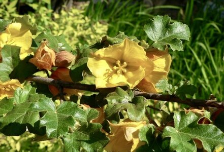 IMG_3271.jpeg IMG_3271.jpeg