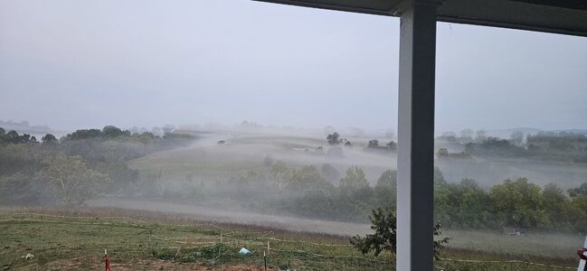 20240914_064326.jpg 20240914_064326.jpg