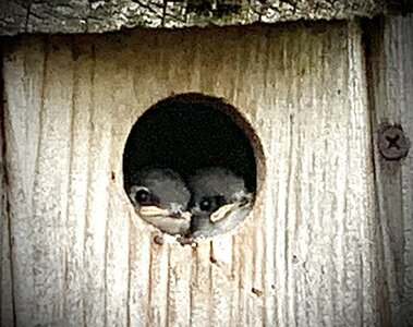 IMG_1849.jpeg IMG_1849.jpeg