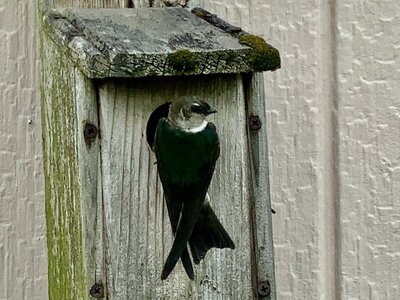 IMG_1861.jpeg IMG_1861.jpeg