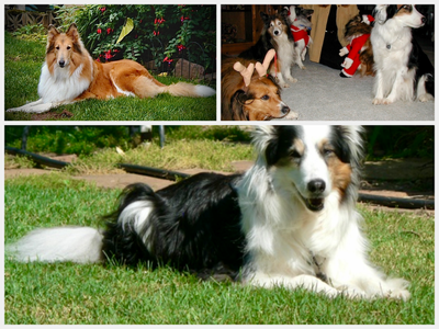 IMG_4382.png IMG_4382.png