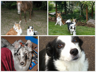 IMG_4390.png IMG_4390.png